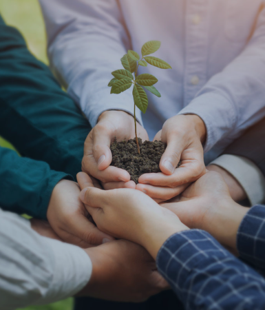 APL生态合作伙伴计划